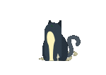 Lodaer Img